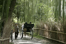 嵐山竹林公園イメージ画像②