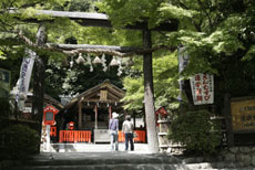 嵐山竹林公園イメージ画像③