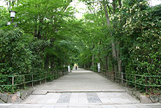 下鴨神社イメージ画像②