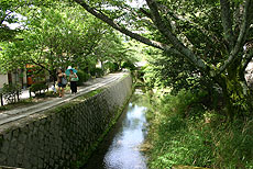 哲学の道イメージ画像③