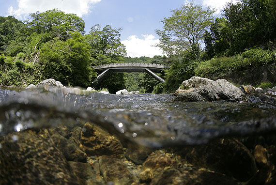 清水寺画像イメージ①